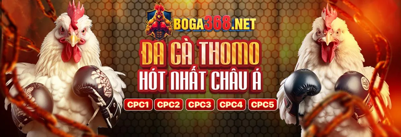 Hình ảnh minh họa các loại dữ liệu cá nhân mà 288bet win thu thập